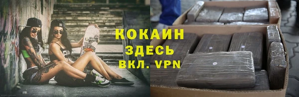 амф Верхний Тагил