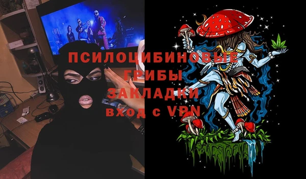амф Верхний Тагил