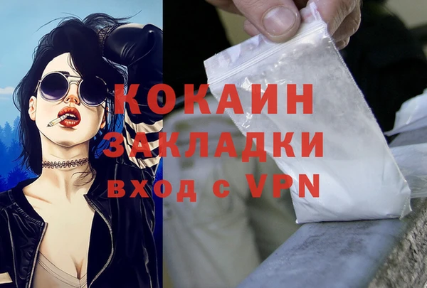 СК Вязьма